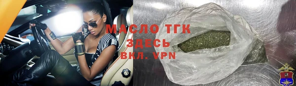 МДПВ Бородино