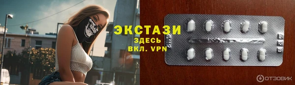 МДПВ Бородино