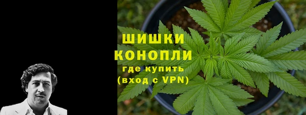 МДПВ Бородино