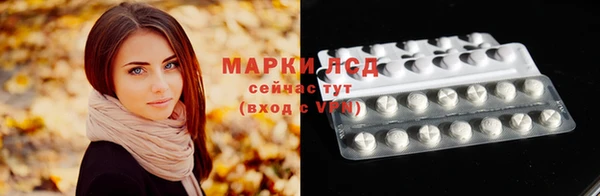 МДПВ Бородино