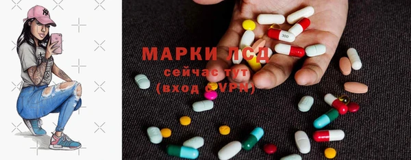 МДПВ Бородино