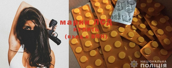 МДПВ Бородино
